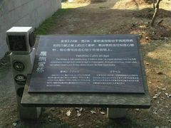 -东湖落雁景区