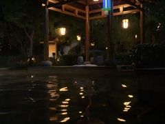 -深业半汤御泉庄温泉