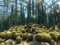 -南山植物园