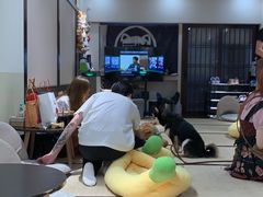 -逗柴咖啡屋·狗咖猫咖宠物桌游