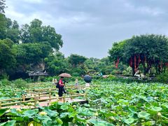 -广州莲花山旅游区