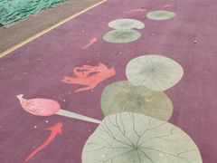 -尚贤河湿地