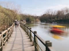 -吴淞炮台湾湿地森林公园烧烤区