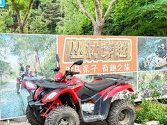 -欢乐松鼠谷