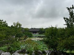 -上海滨江森林公园
