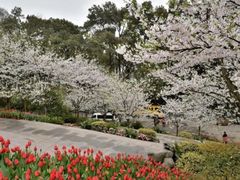 -南山植物园