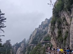 -老君山风景名胜区