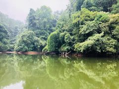 -保利石象湖景区
