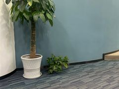 -新航道·雅思托福·Alevel AP·留学考研(光谷校区)