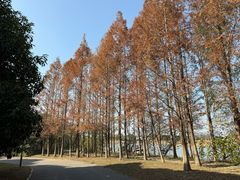 -梁鸿国家湿地公园