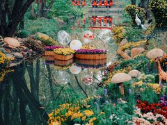 -上海共青森林公园