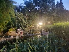 -成都市活水公园