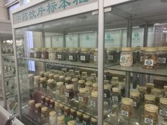 -中国中医科学院望京医院(院本部)