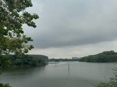 -大屏嶂森林公园