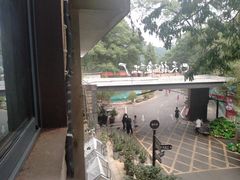 -天怡·鱼工厂(梅溪湖店)