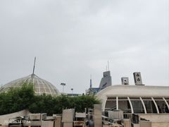 -海合安青岛极地海洋公园