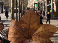 -路易·威登(香榭丽舍大道店)