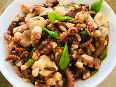 酱爆八爪鱼-海香园饭店