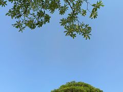 -壹伍陆连锁汽车维修美容(宝安中心区店)