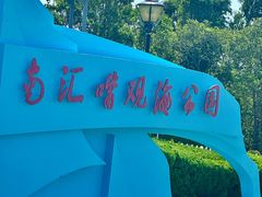 -南汇嘴观海公园