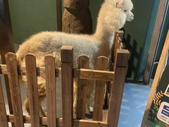 -重庆欢乐海底世界