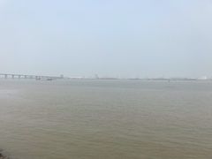 -大湾区中央湿地公园