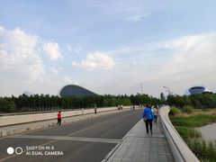 -哈尔滨大剧院
