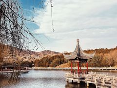-北宫国家森林公园