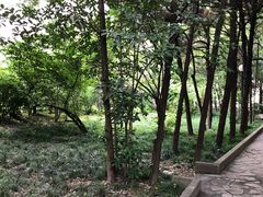 -光明·博海美食花园(上海瑞金医院12号楼店)