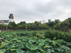 -美兰湖景区