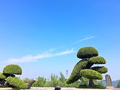 -海沧湾公园