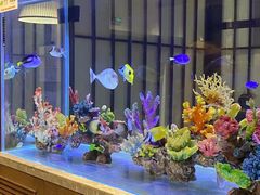 自助取餐区-水之惠鲜鱼料理(王府大街店)