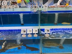 -哈尔信阳光农园超市(沈阳三台子万象汇店)