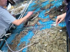 -日照灯塔风景区