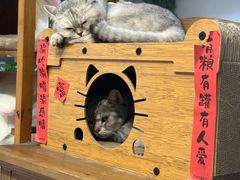 -小时光咖啡馆(北锣鼓巷店)