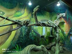 -华夏文旅西安度假区