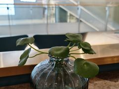 -美奈小馆·东南亚菜(福田星河COCO Park店)