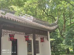 -上海佘山国家森林公园天马山园
