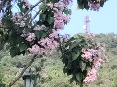 -青岛海滨风景区