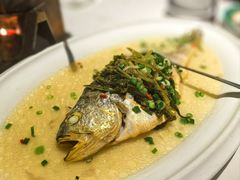 -老洋房花园饭店(绍兴路店)