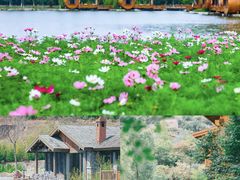 -九如山休闲旅游度假区