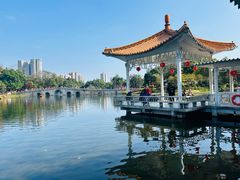 -荔湾湖公园