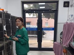 -派美特宠物医院·核磁CT·骨科肿瘤·疑难转诊(沈农禾丰店)