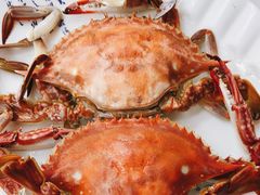 -北戴河庆山饭店·海鲜砂锅粥(北戴河黑石路店)