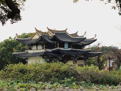 -江心屿景区
