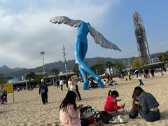 -大梅沙海滨公园