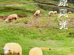 -乌蒙大草原