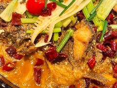 -老板恋上鱼(恒隆广场店)