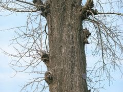 -南通博物苑-崇川人民公园