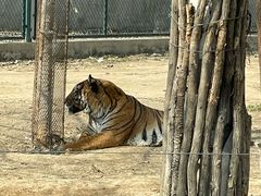 -秦皇岛野生动物园